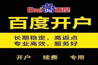 关键词竞价排名案例解析与启示